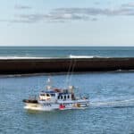 Boten registratiesysteem x