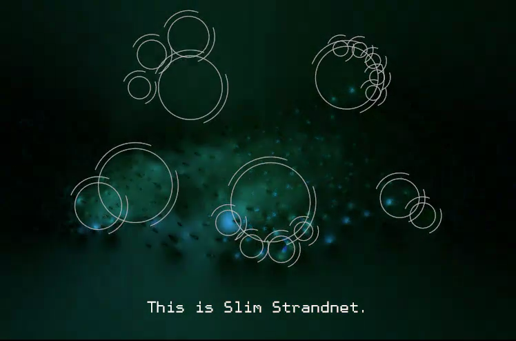 Data Artistiek Slim Strandnet