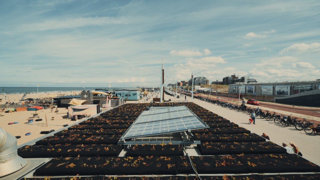 Circulaire zonnepanelen 2